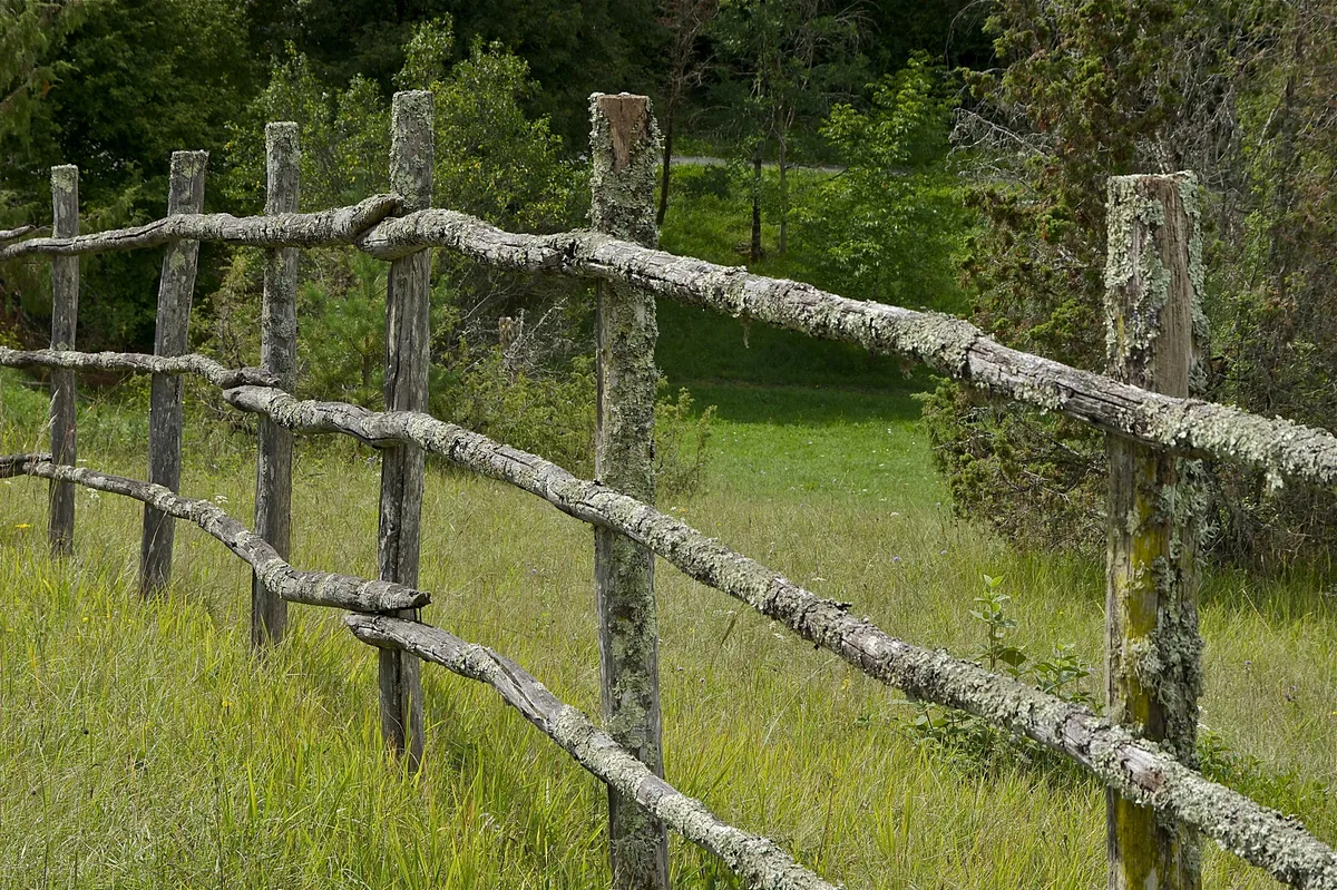 Coming off the fence: why I decided to engage in politics
