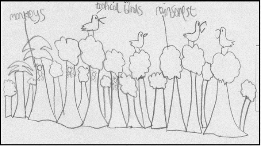 A child's drawing of a rainforest with monkey's and tropical birds in the trees
