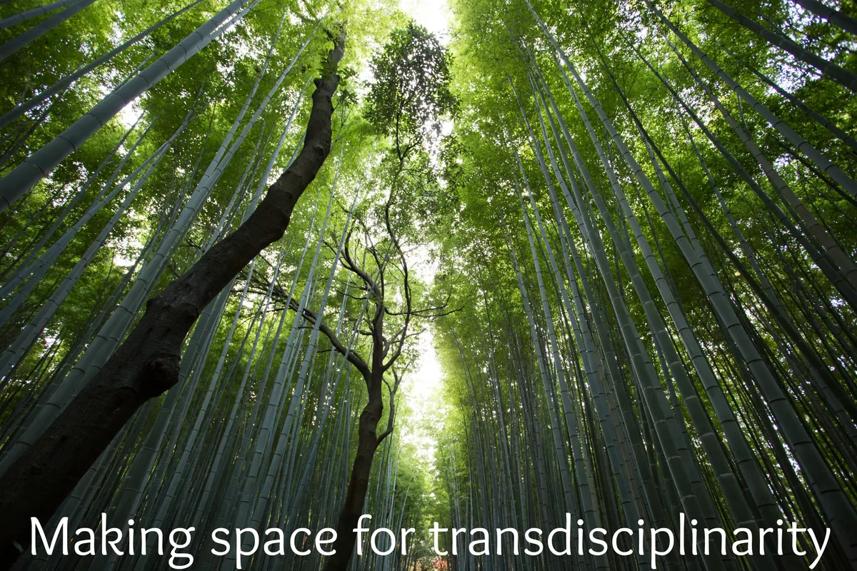 Making transdisciplinarity work