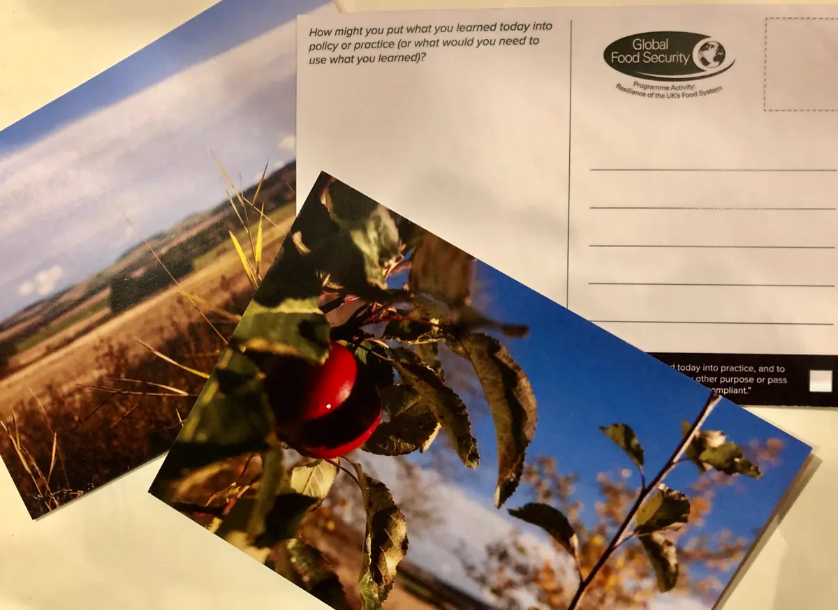 Get longitudinal impact data with a postcard to your future self